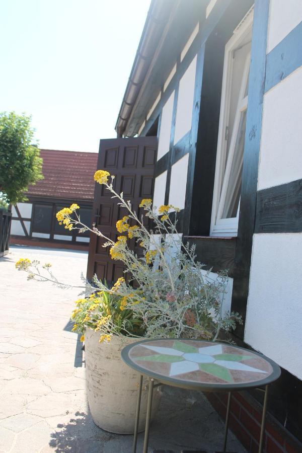 Dom Goscinny Flauta II Ustka Dış mekan fotoğraf